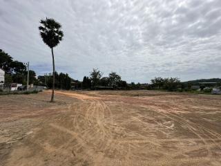 Empty plot of land with a single palm tree and overcast sky