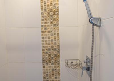 Modern bathroom shower with decorative tiles