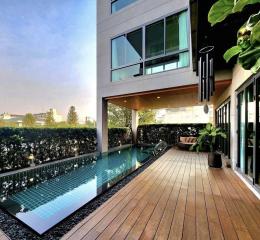 Modern outdoor patio with a swimming pool and wooden decking