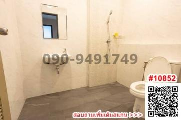 Compact modern bathroom with shower and toilet