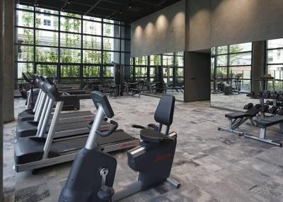 Modern gym with exercise equipment and large windows