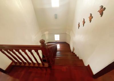 Warm-toned wooden staircase with decorative wall elements