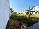 Spacious undeveloped outdoor area with greenery near buildings