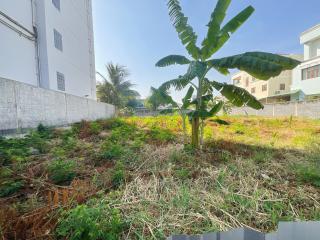 Overgrown outdoor area with potential for landscaping