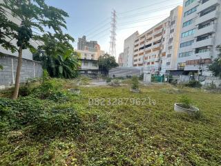 Urban lot with overgrown vegetation surrounded by residential buildings