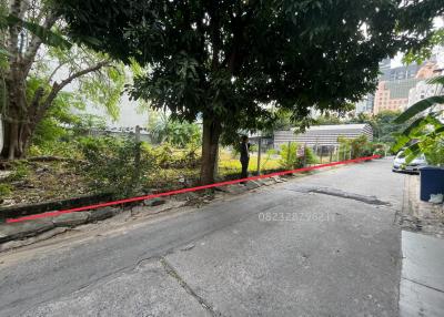 Outdoor area with trees and damaged pavement, potential construction site