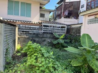 Outdoor green space with overgrown plants near a residential building