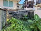 Outdoor green space with overgrown plants near a residential building