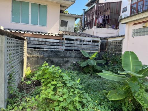 Outdoor green space with overgrown plants near a residential building