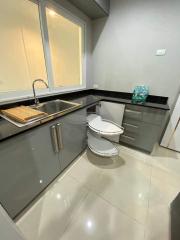 Modern kitchen with stainless steel sink, ample countertops, and sleek cabinetry