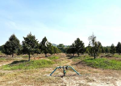 Land For Sale Chanthaburi