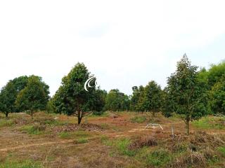 Land For Sale Chanthaburi