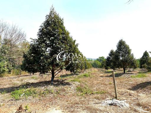 Land For Sale Chanthaburi