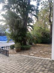 Garden area with mature trees and patterned paving