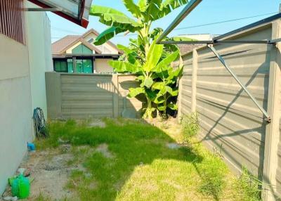 Backyard area with grass and a banana tree