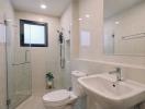 Modern bathroom interior with glass shower, toilet, sink, and mirror