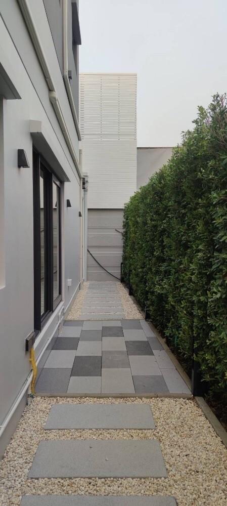 Pathway beside a house flanked by green hedges