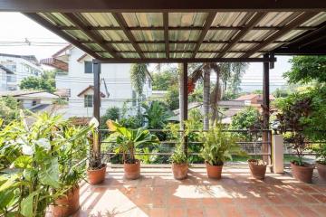 Spacious balcony with potted plants and a view of residential area