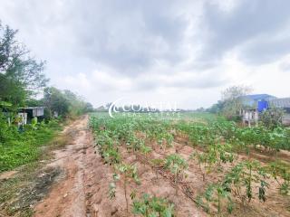 Land For Sale Huay Yai