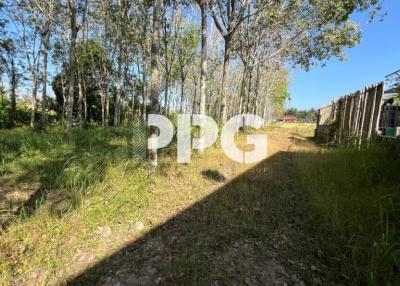 GREAT OPPORTUNITY LAND IN CHERNG TALAY
