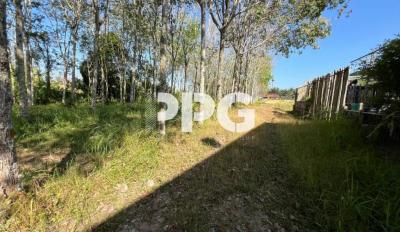 GREAT OPPORTUNITY LAND IN CHERNG TALAY