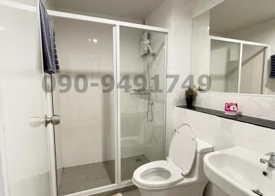 Modern bathroom interior with shower and other amenities