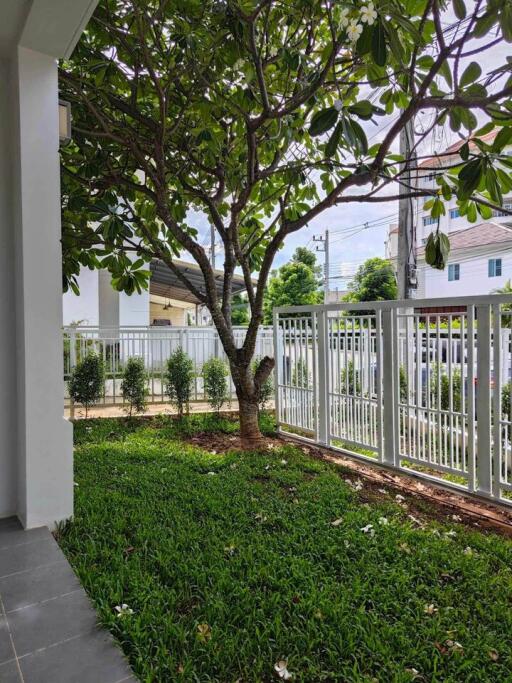 House for Rent in Mae Hia, Mueang Chiang Mai.