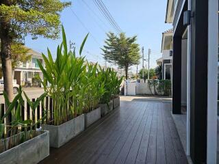 House for Rent, Sale in San Sai Noi, San Sai.