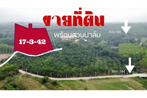 LAND  FOR SALE Ban -Bueng Chonbiri - 920311006-218