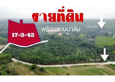 LAND  FOR SALE Ban -Bueng Chonbiri - 920311006-218