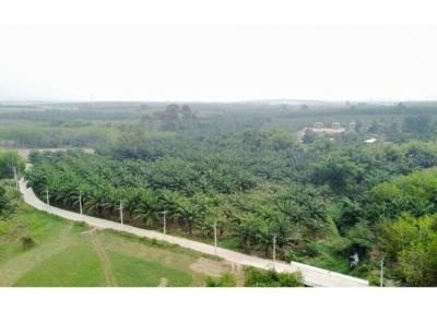 LAND  FOR SALE Ban -Bueng Chonbiri