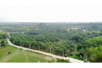 LAND  FOR SALE Ban -Bueng Chonbiri - 920311006-218