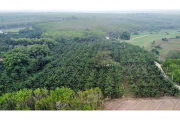 LAND  FOR SALE Ban -Bueng Chonbiri - 920311006-218