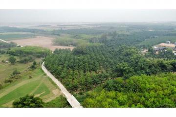 LAND  FOR SALE Ban -Bueng Chonbiri - 920311006-218