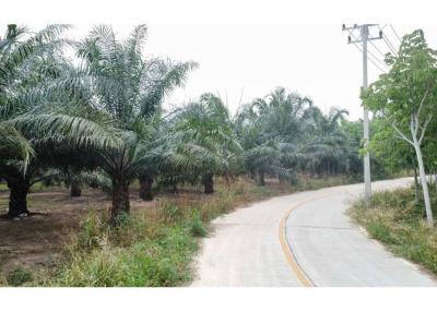 28,568 Sqm. Land listed for ฿ 21,500,000.