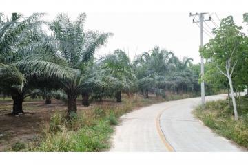 LAND  FOR SALE Ban -Bueng Chonbiri - 920311006-218