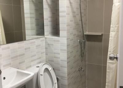 Clean and modern bathroom interior with tiled walls