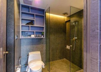 Modern bathroom with walk-in shower and built-in shelves