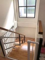 Bright and modern staircase with wooden floors and neat railing