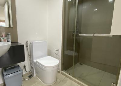Modern bathroom interior with enclosed shower, toilet and sink