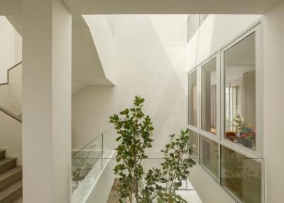 Modern staircase with natural lighting and glass balustrades
