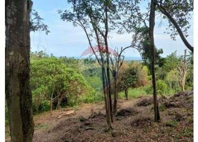 Sea and Sunset View Land in Lipa Noi, Samui for Sale - 920121061-44