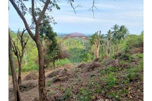 Sea and Sunset View Land in Lipa Noi, Samui for Sale - 920121061-44