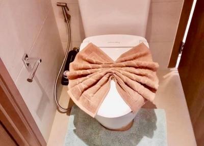 Modern bathroom with clean toilet and decorative towel