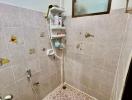 Compact bathroom with tiled walls and frosted glass window