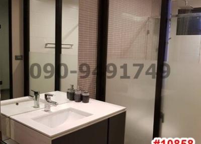 Modern bathroom interior with glass shower and vanity