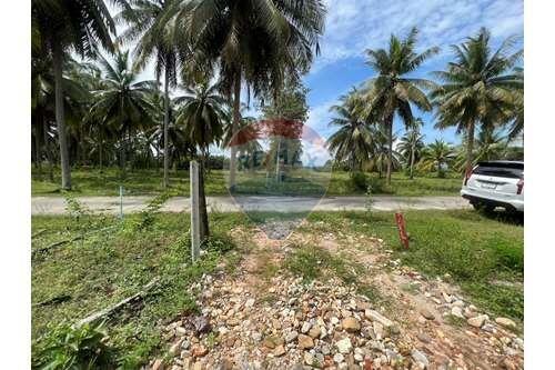 Land for sale only 250 meters to the Beach - 920121030-142