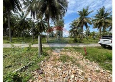 Land for sale only 250 meters to the Beach - 920121030-142