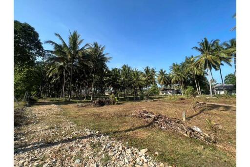 Land for sale only 250 meters to the Beach