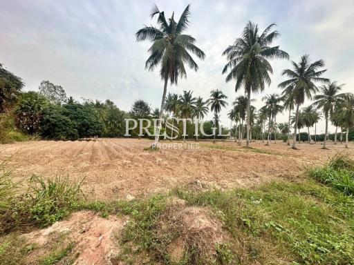 Land For Sale in Huay Yai / Phoenix PP10246